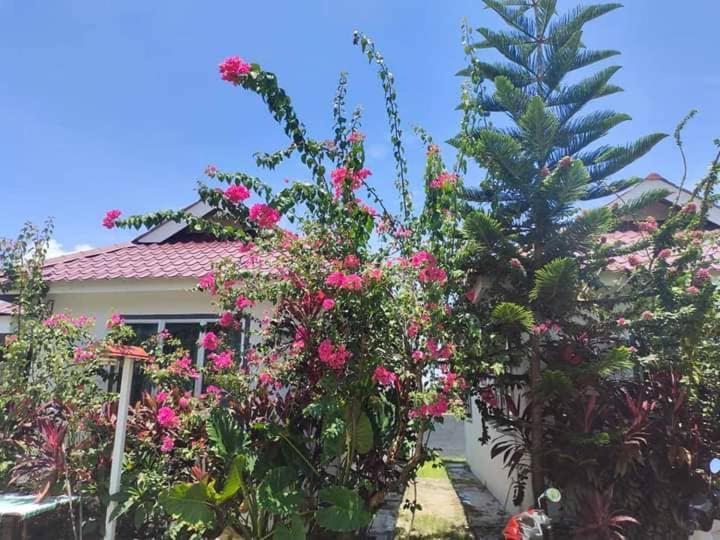 Langkawi Homestay Bunga Padi Kuah Exterior foto